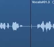 Vocal Cut